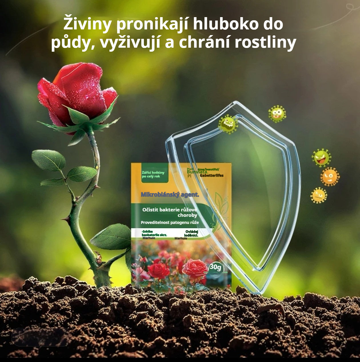 🌹🌹【20 sáčků】Speciální fungicid pro růže – účinně likviduje houbové choroby růží