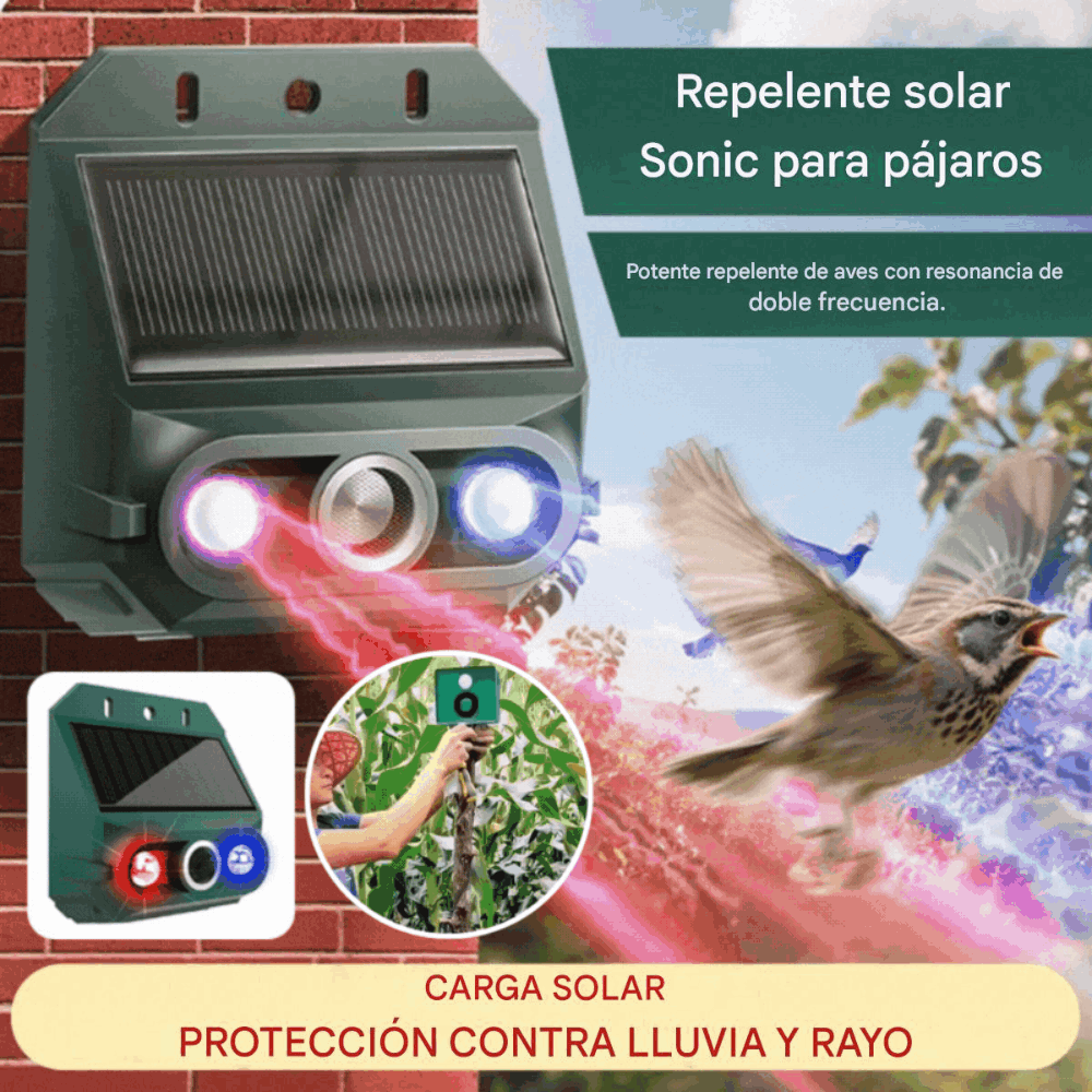🔥【50% de descuento】🔥Repelente solar ultrasónico para animales para exteriores: puede ahuyentar pájaros y animales.