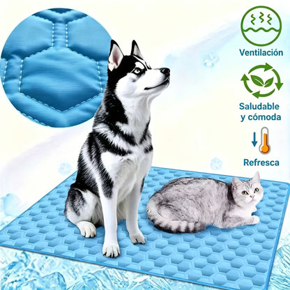 🧊🐶 Alfombrilla refrescante para perros y gatos – el alivio que tus mascotas necesitan este verano 🐱✨