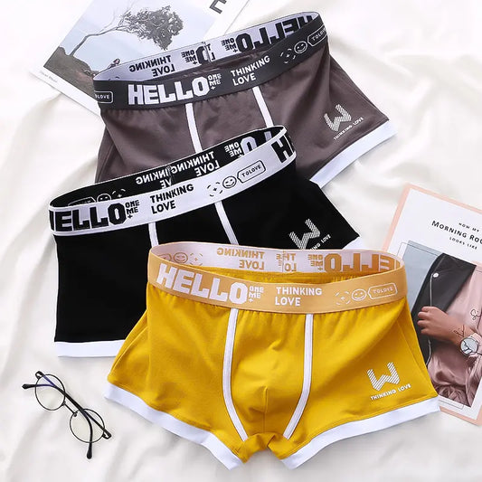 ⏳⏳[Oferta por tiempo limitado]🔥【Compra 6 y llévate 6 gratis】Calzoncillos bóxer de algodón para hombre nuevos-E