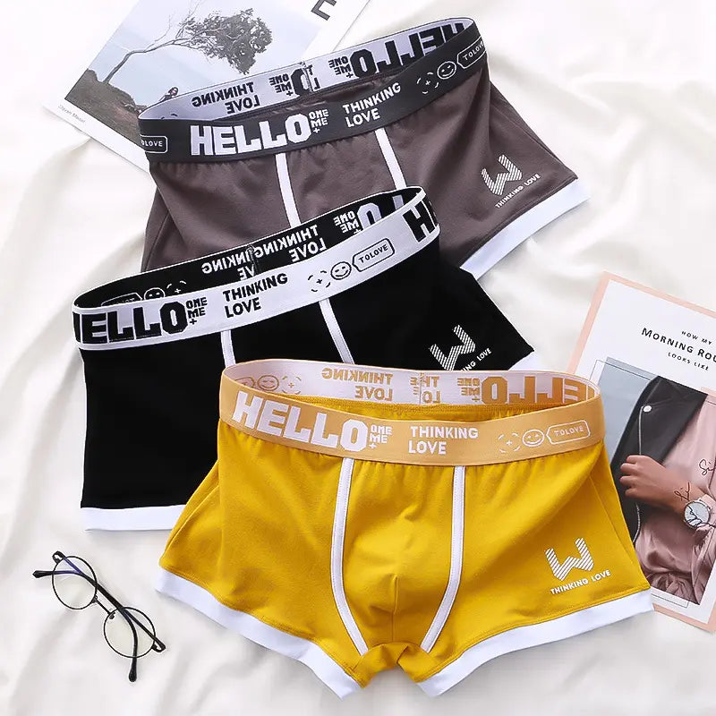 ⏳⏳[Oferta por tiempo limitado]🔥【Compra 6 y llévate 6 gratis】Calzoncillos bóxer de algodón para hombre nuevos-E